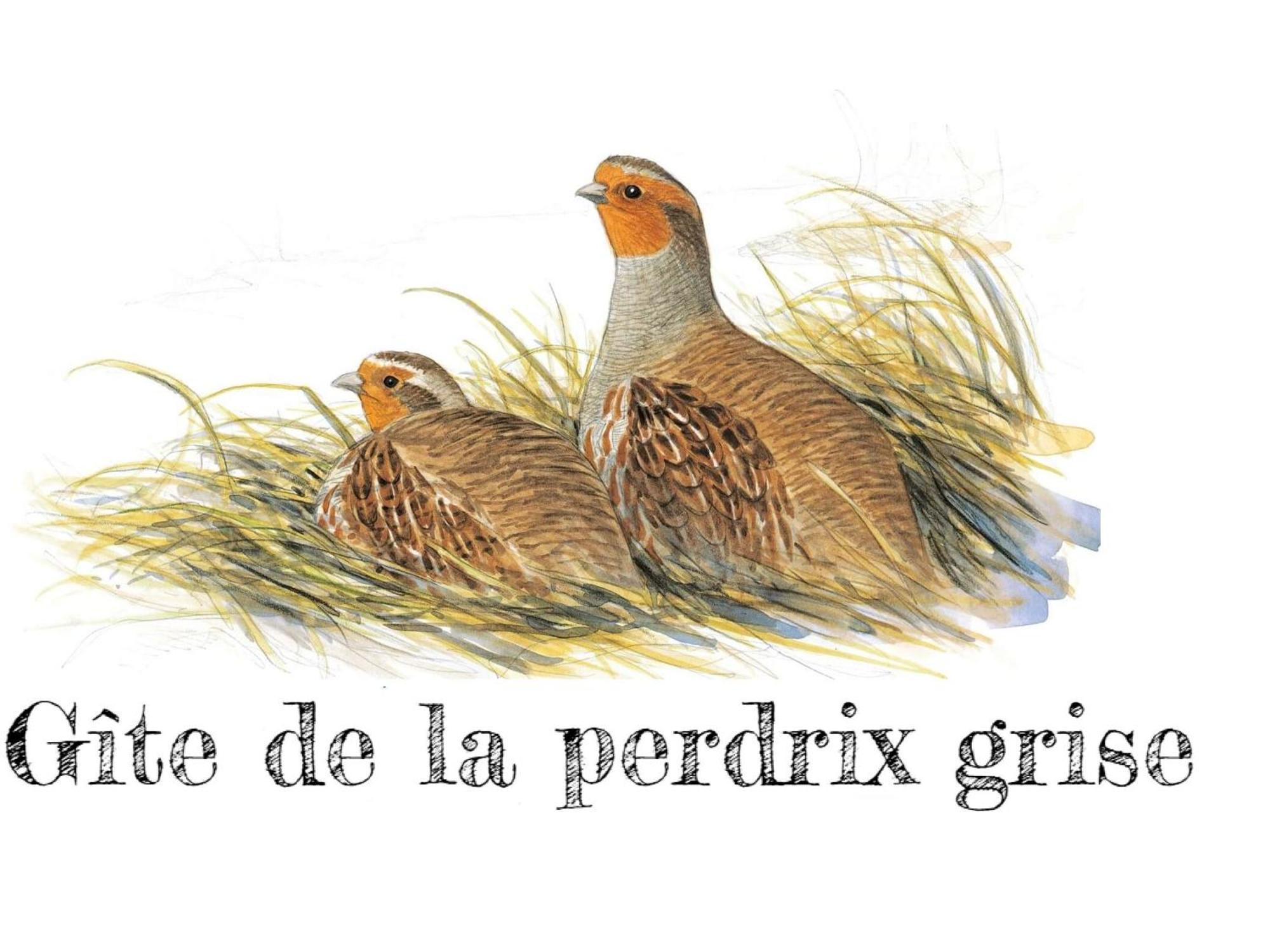 Charmante Maison De Campagne Avec Jardin Prive, Pres De Paris Et Orleans, Ideale Pour Familles - Fr-1-590-136 Audeville Eksteriør billede